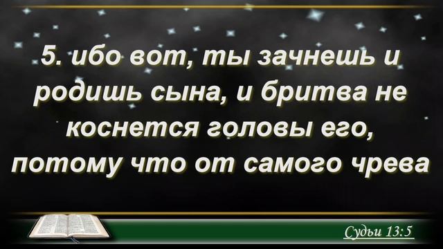  Библия по плану  Пс 113 1 Кор 1 Суд 13 14