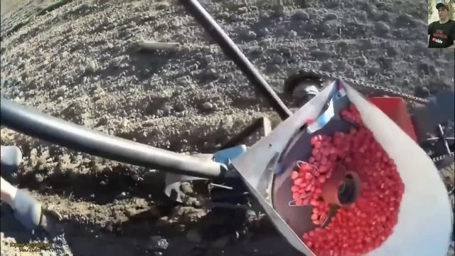 УНИКАЛЬНЫЕ СЕЯЛКИ РАЗНЫХ СТРАН МИРА, ПОДБОРКА /SEEDERS FROM