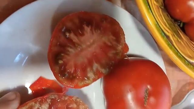 ТОМАТЫ. Гномы томатные. г. Киров