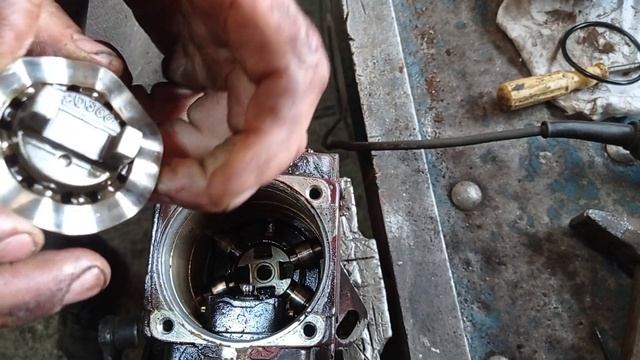 Ec044dd84747cf37bfb57273d25498b3