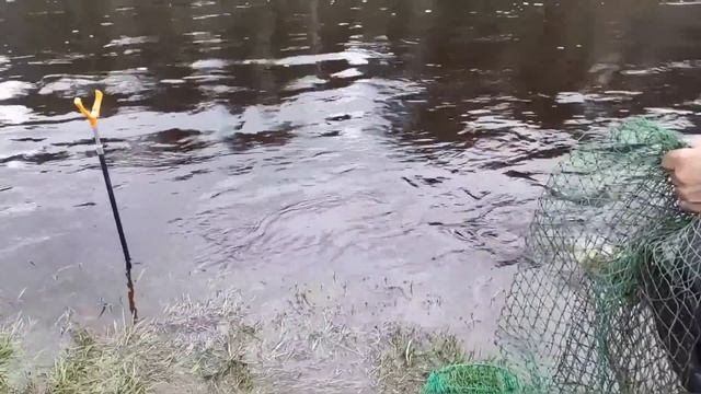 Ловим Сырть на малых Реках.Приехали на речку половить
