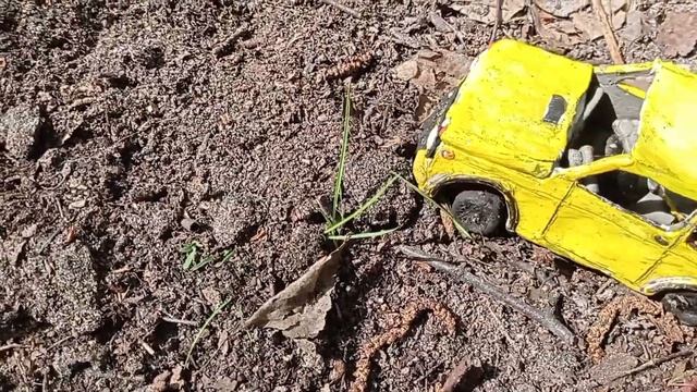 Обзор и тест рабочей ходовой нивы! Скинул с обрыва!