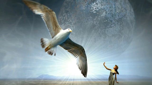 Небесные Крылья / Великий DJ.YURAN / Music And Club Paradise