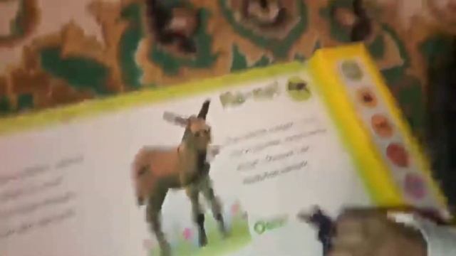 99edaaa3f87a65ad00325a36eeb5f0a3