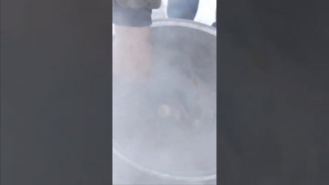 КАК ПРИГОТОВИТЬ ФИНСКУЮ УХУ И ПОЖАРИТЬ ГОРБУШУ В САДЖ?