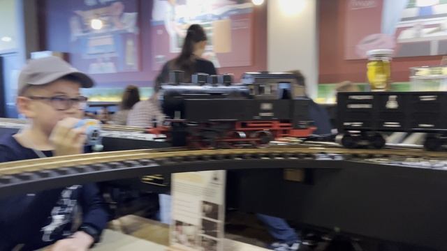 Прогулки, май - июнь 2025 года