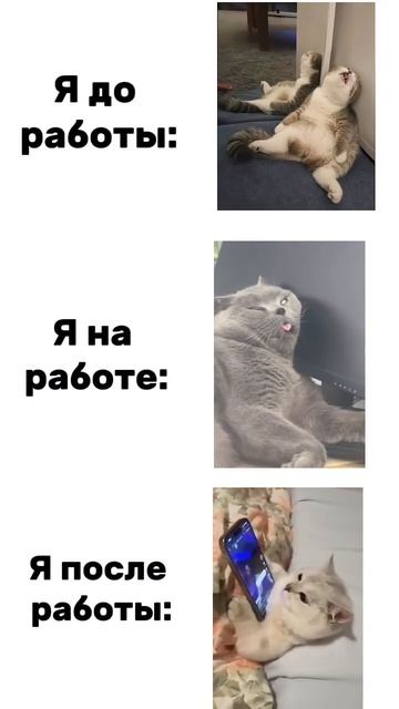 Как выглядит до и после работе