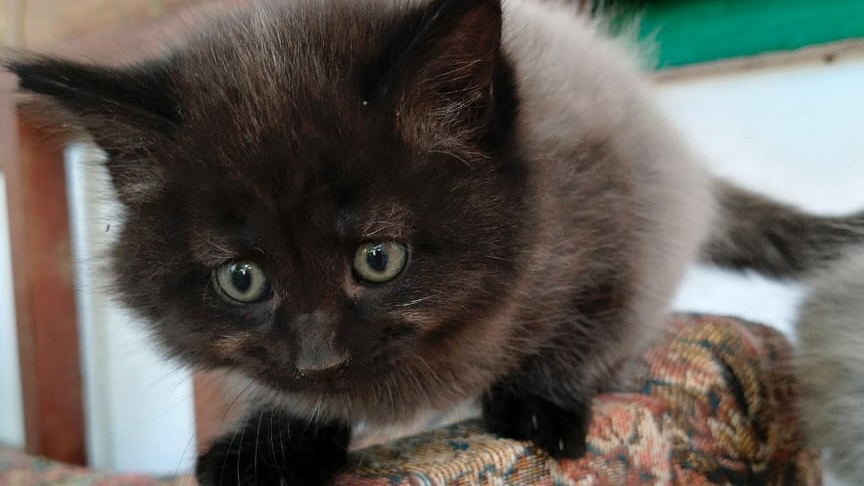 F899cc292a5082b13c688775c9cdae73