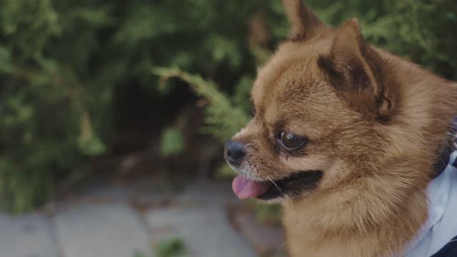 свадебный фильм