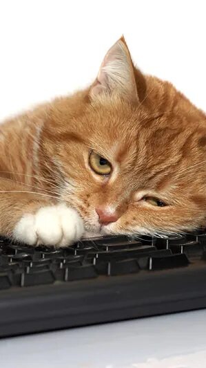 Вновь отписка без причины