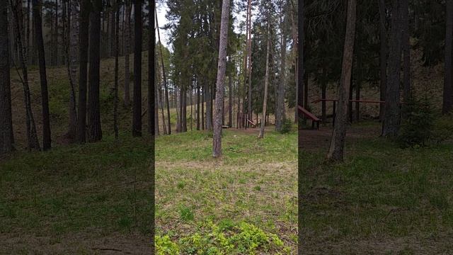 3f8fa4612343831e036b1c06231c1052