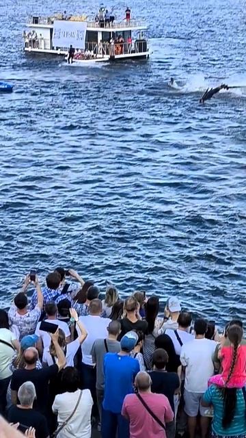 #воронеж #красота#флайборд