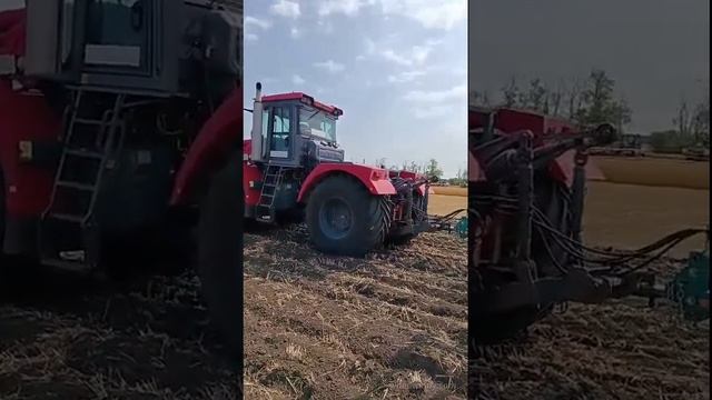 День Донского поля 2025