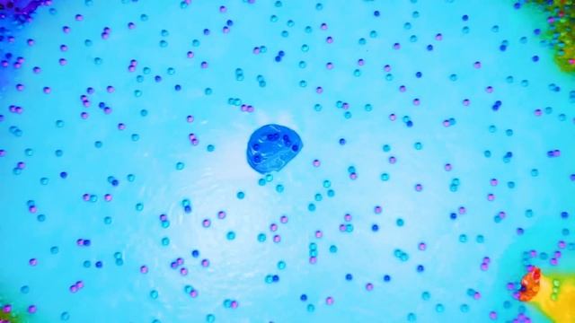 1ebfeb89c1861481f9b1ba4c8299e0c6