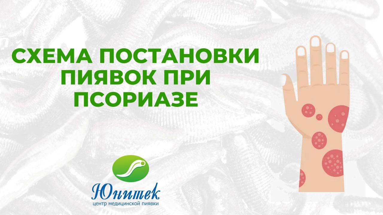 42be9f5c4cad0f153da4aefbe82a2337