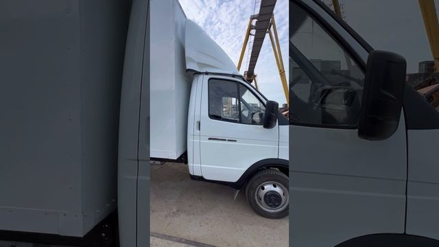 Обзор газели