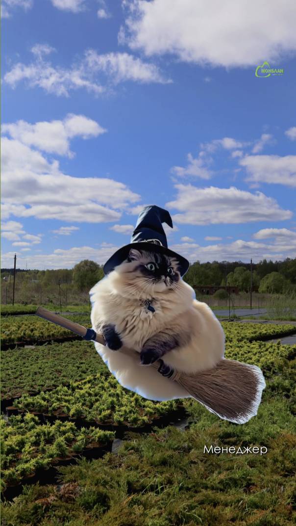 В главных ролях: