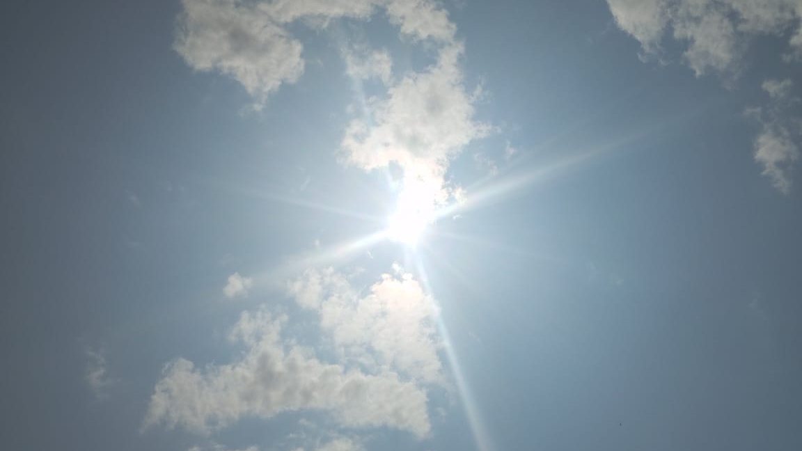 утя собирается ужинать