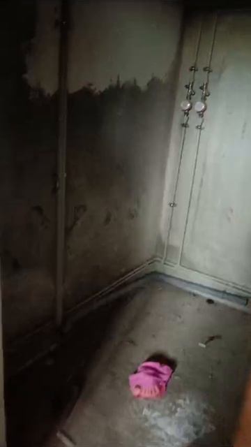 VID-20241227-WA0025.mp4