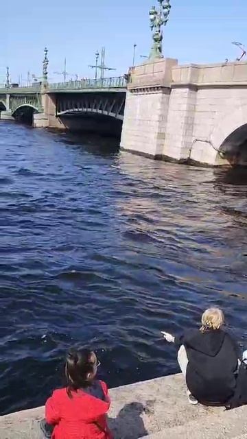 Литературный квест