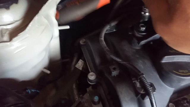 Glazunov_auto_driver