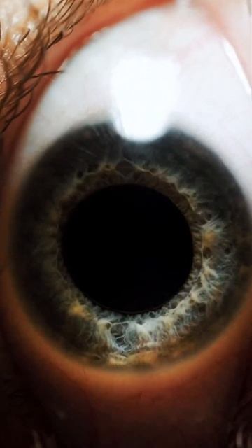 2f27d9e25ae9b90ce9a03930309a7f70