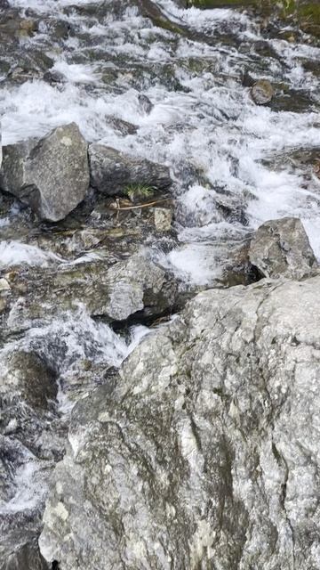 Река и водопад Шумка