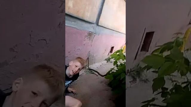 Строим базу чеек