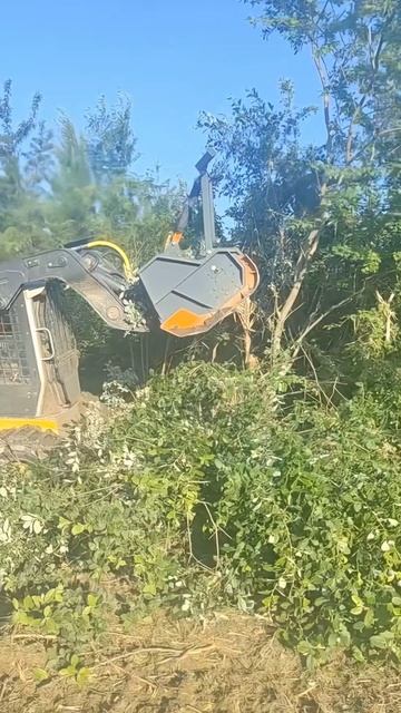 A88f542368f22b8e86162c356893538b