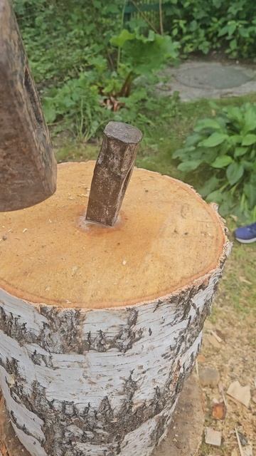 PDP Баня заготовка дров