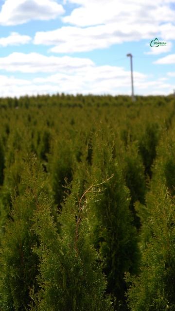 ВАМ ПОПАЛОСЬ РЕДКОЕ ВИДЕО 🍀