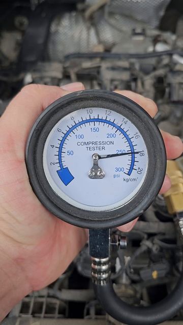 AUTOdiagnostika [Центр диагностики и профилактики]