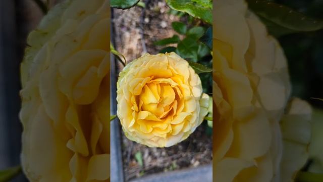 Волгоград. Удачно подобрада музыку как думаете?