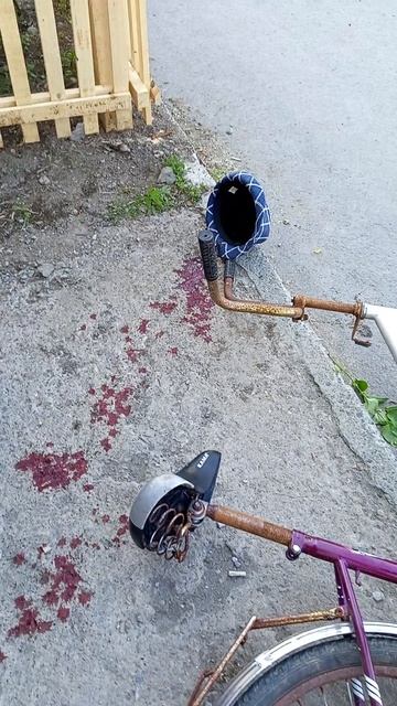 шок контент.