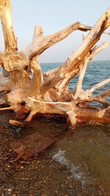 Водохранилище