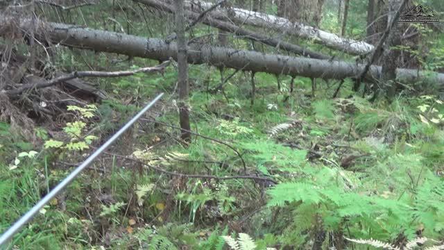 Поиск золота по ручьям