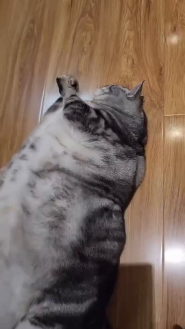 всё включено