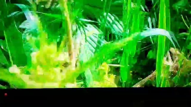 455. ЗНАКИ...КАК ВСЕГДА ЗНАКИ...ДОБРА...