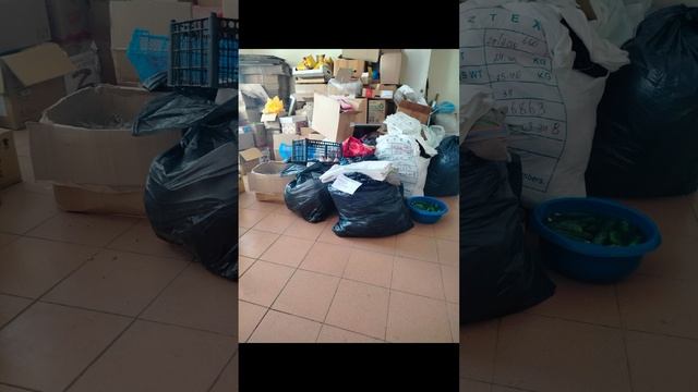 Волонтёрская миссия 2025 год