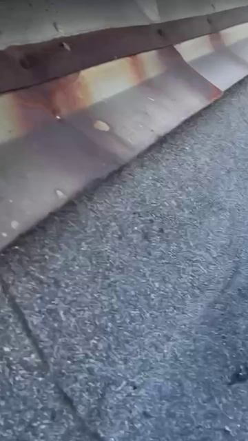 D4baf335fafadb3e72c499160d3d6501