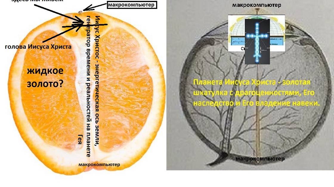 Мои письма Глогеру Вадиму из Майями