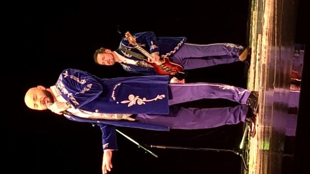 БЕЛОВЕЖСКАЯ ПУЩА - БГА 