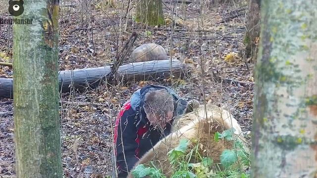 Поделись Мансурчик ты спать собираешься этой зимой?