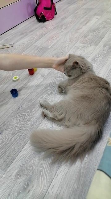 118da552064ec25c20d3764c5d1ea910