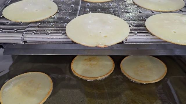 Жарочный комплекс ЖК -1000