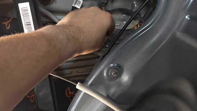 Поле Разума