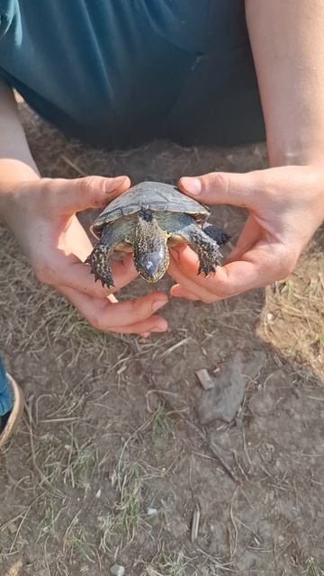 рыбалка с тартилой