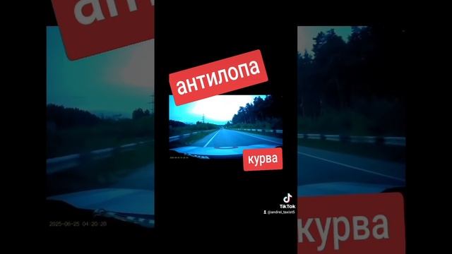 4d060328590af2cd9084ad3d5231a65f