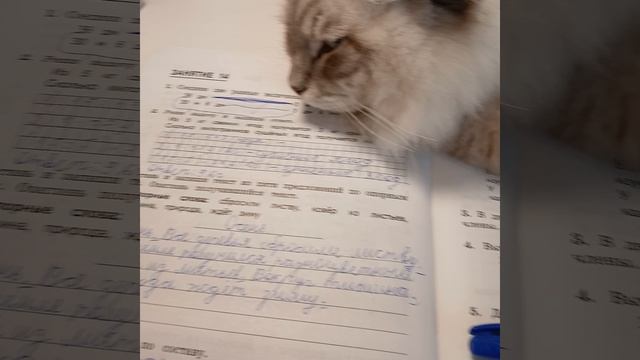 Как я делаю летние задания