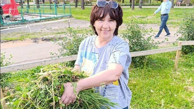 Лариса Миронова Ивняки - территория мусорного комфорта 25 июня